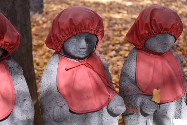 ニコン D3500 ダブルズームキット投稿画像・動画 - 価格.com