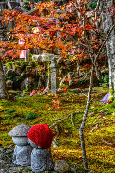 ニコン AF-S DX NIKKOR 18-140mm f/3.5-5.6G ED VRで撮影された写真