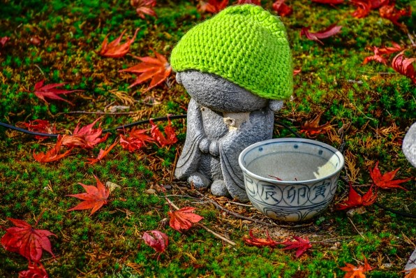 ニコン AF-S DX NIKKOR 18-140mm f/3.5-5.6G ED VRで撮影された写真