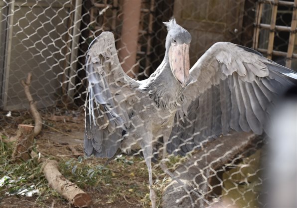 ニコン D750 ボディで撮影された写真 - 価格.com