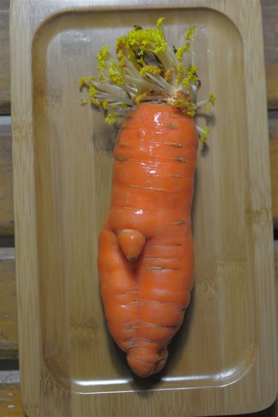 ニコン AI AF NIKKOR 50mm f/1.8Dで撮影された写真 - 価格.com