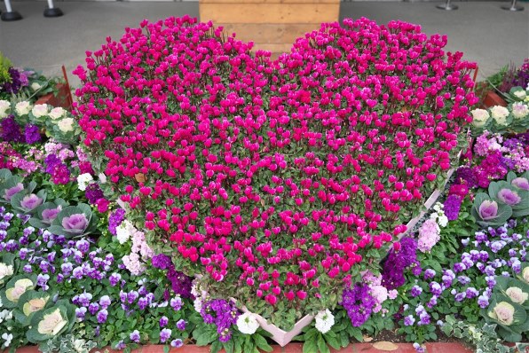 デジタルカメラなんでも掲示板のクチコミ - 価格.com