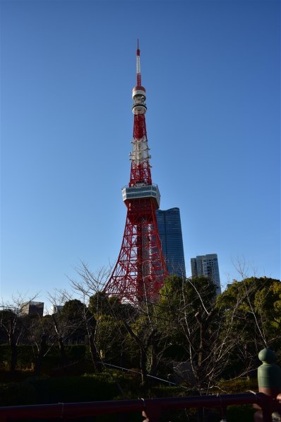 Nikon D750 ボディ (写真に写ってるもの) ニコン D750 ボディで撮影された写真 - 価格.com