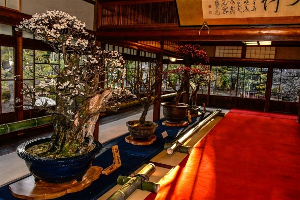 【作例あり】風景から人物をこれ1本♪Nikon AF-S 18-140mm VR ニコン AF-S DX NIKKOR 18-140mm f/3.5-5.6G ED VRで撮影された写真