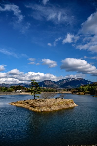 ニコン AF-S DX NIKKOR 18-140mm f/3.5-5.6G ED VRで撮影された写真