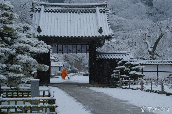 富士フイルム FUJIFILM X-T5 ボディ 価格比較 - 価格.com