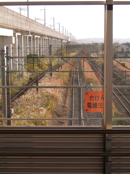 京セラ CONTAX Tvs DIGITALで撮影された写真 - 価格.com