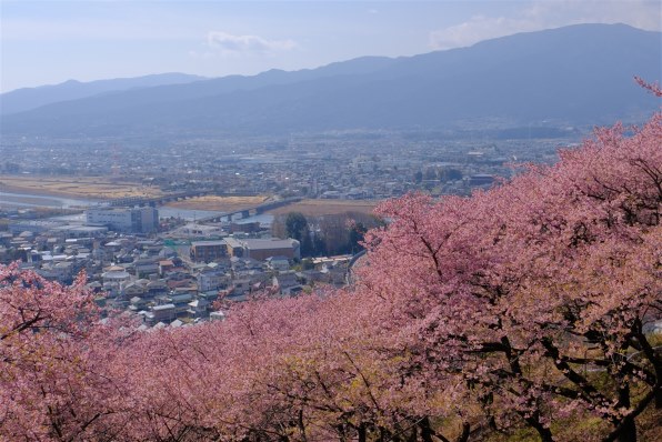 富士フイルム FUJIFILM X-T30 III ボディ 価格比較 - 価格.com