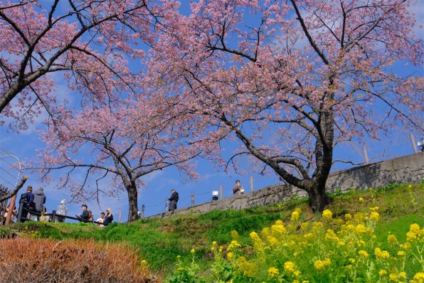 富士フイルム FUJIFILM X-T30 III ボディ 価格比較 - 価格.com