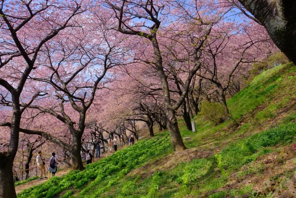 富士フイルム FUJIFILM X-T30 III ボディ 価格比較 - 価格.com