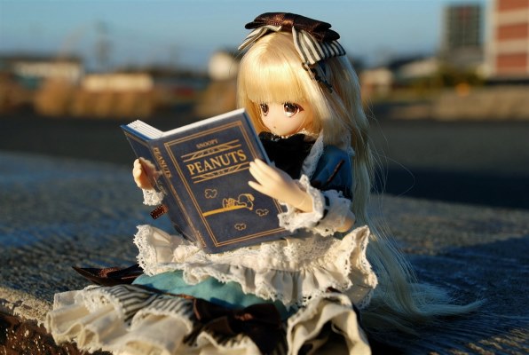 ニコン D80 AF-S DX VR 18-200G レンズキットで撮影された写真 - 価格.com