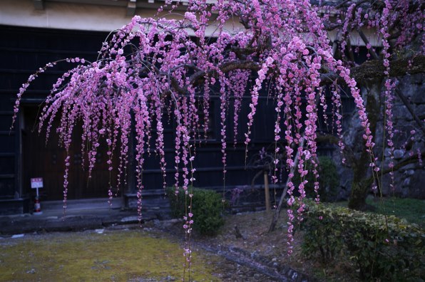 ライカ アポ・ズミクロンM F2/35mm ASPH. 価格比較 - 価格.com