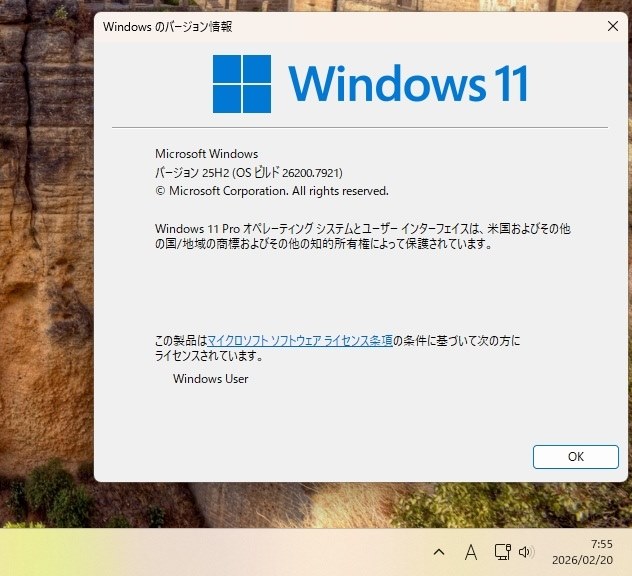 246★な★爆速★i7★Win11 25H2★Acer★質問NG★返品不可 Acer Swift Go 14 AI Windows 11 Home インテル Core Ultra 5 OLED
