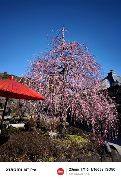 富士フイルム FUJIFILM X100VI 日英2言語設定モデル投稿画像・動画