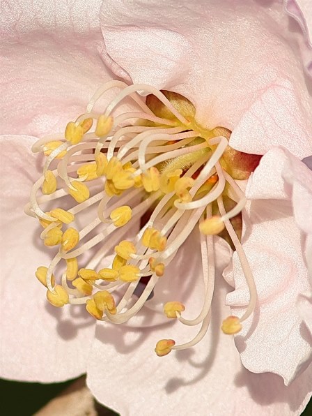 ズームレンズ CANON すべてのクチコミ - 価格.com