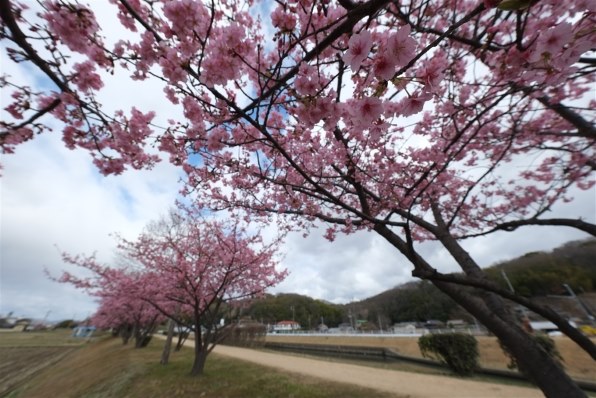 富士フイルム FUJIFILM X-T5 ボディ 価格比較 - 価格.com