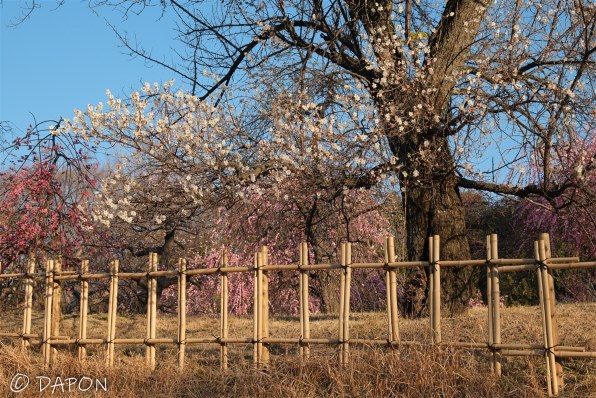 富士フイルム FUJIFILM X-T5 ボディ 価格比較 - 価格.com