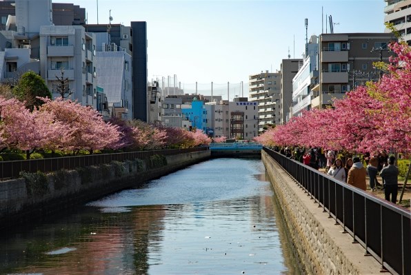 ニコン D80 ボディで撮影された写真 - 価格.com