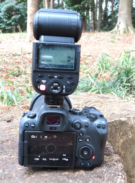 【作例アリ】Canon PowerShot SX740 HS シルバー CANON PowerShot SX740 HS [シルバー]で撮影された写真 - 価格.com