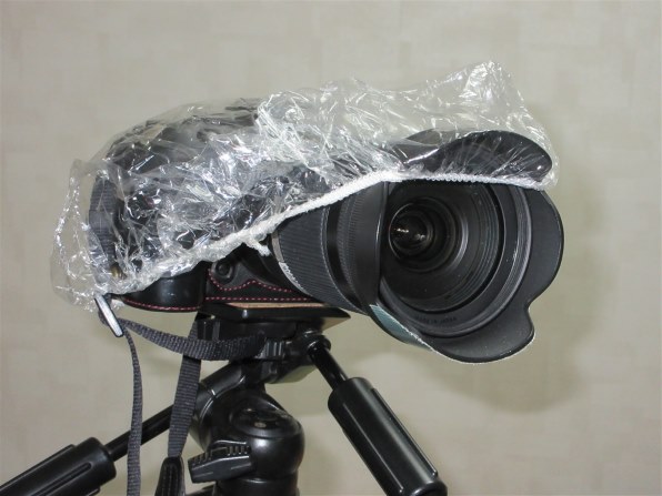 CANON IXY 650 [ブラック]で撮影された写真 - 価格.com