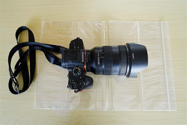 SONY Vario-Tessar T* FE 24-70mm F4 ZA OSS SEL2470Zで撮影された写真