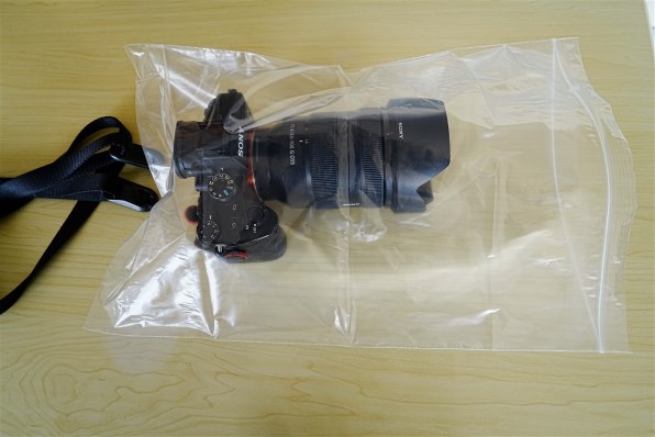 SONY Vario-Tessar T* FE 24-70mm F4 ZA OSS SEL2470Zで撮影された写真