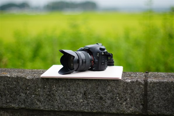 ニコン NIKKOR Z 50mm f/1.4 価格比較 - 価格.com