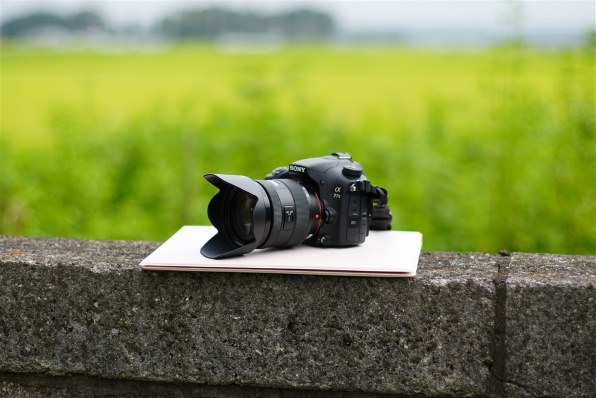 ニコン NIKKOR Z 50mm f/1.4 価格比較 - 価格.com