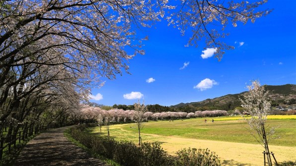 CANON EF17-40mm F4L USMで撮影された写真 - 価格.com