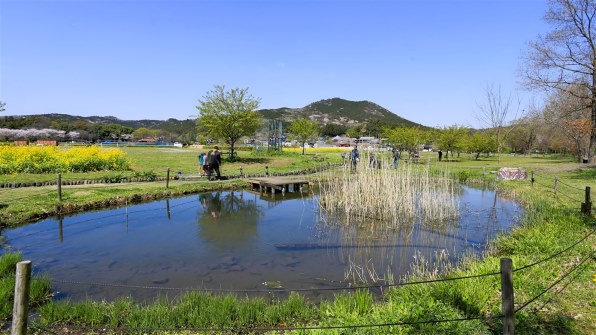 CANON EF17-40mm F4L USM投稿画像・動画 - 価格.com