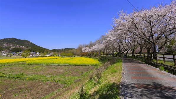 CANON EF17-40mm F4L USMで撮影された写真 - 価格.com