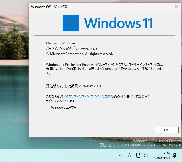 Win11(Canary)29560.1000 Update』 クチコミ掲示板 - 価格.com