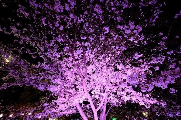 シグマ 10-18mm F2.8 DC DN [フジフイルム用]で撮影された写真 - 価格.com
