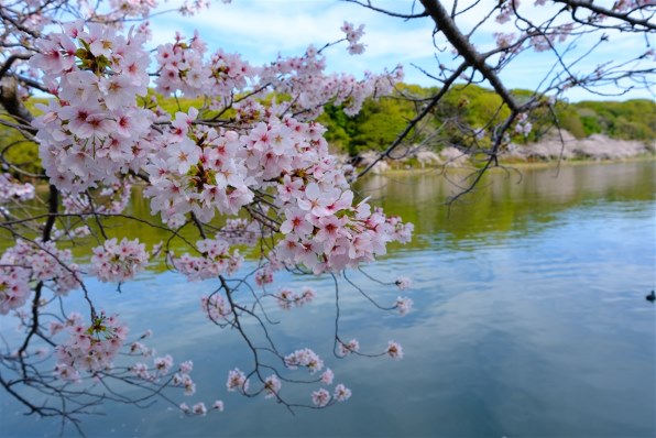 シグマ 10-18mm F2.8 DC DN [フジフイルム用]で撮影された写真 - 価格.com