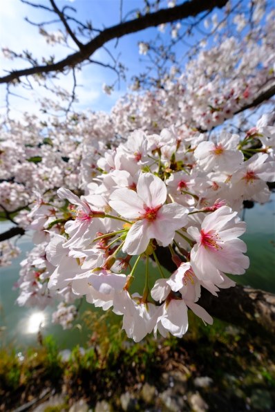 シグマ 10-18mm F2.8 DC DN [フジフイルム用]で撮影された写真 - 価格.com