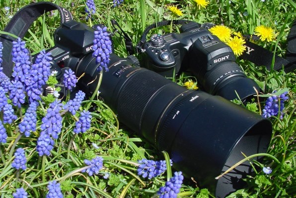 SONY サイバーショット DSC-F55Kで撮影された写真 - 価格.com