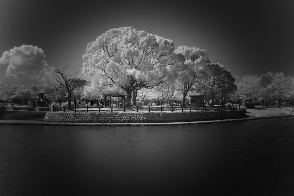リコー RICOH GR IV Monochrome 価格比較 - 価格.com
