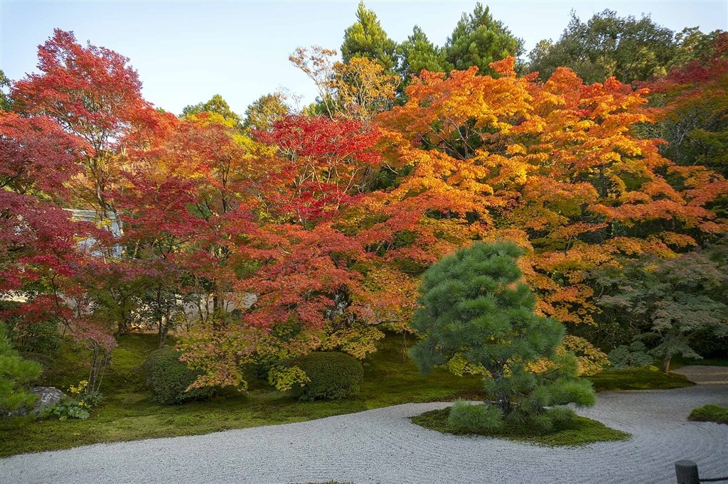SONYa6400の高倍率ズームレンズを購入して』 SONY α6400 ILCE-6400M 高