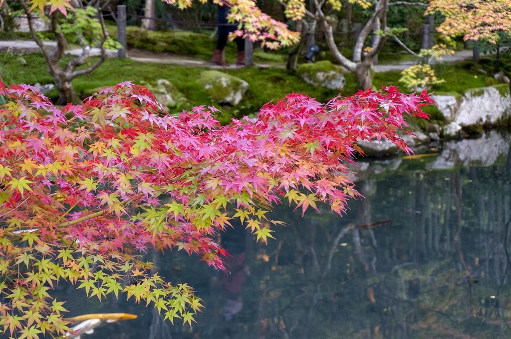 SONYa6400の高倍率ズームレンズを購入して』 SONY α6400 ILCE-6400M 高