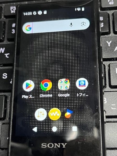 SONY NW-A306 (H) [32GB グレー] 価格比較 - 価格.com