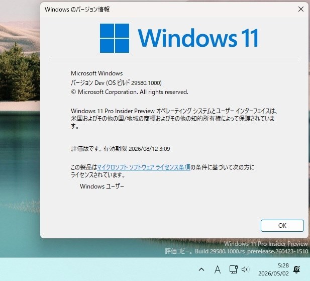 Win11(Canary)29580.1000 Update』 クチコミ掲示板 - 価格.com
