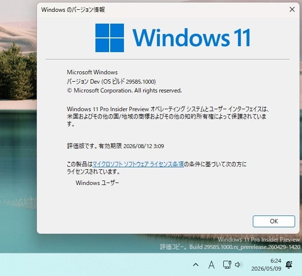Win11(Canary)29585.1000 Update』 クチコミ掲示板 - 価格.com