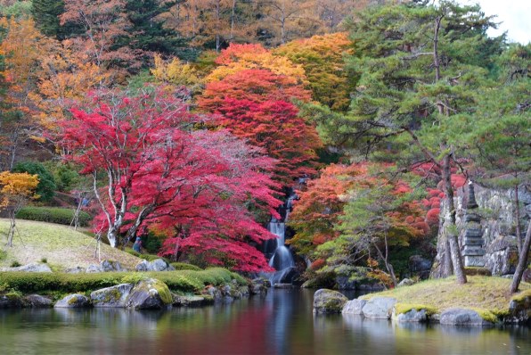 シグマ 18-50mm F2.8 DC DN [キヤノンRF用]で撮影された写真 - 価格.com