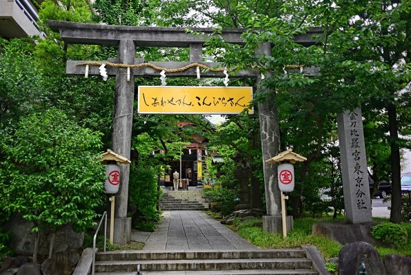ニコン NIKKOR Z 26mm f/2.8で撮影された写真 - 価格.com