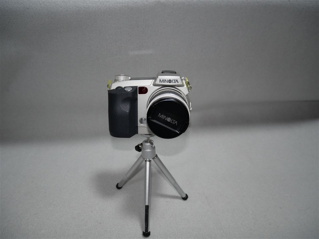 フラッシュ撮影（牡丹と薔薇）』 オリンパス OLYMPUS PEN E-P7 EZ