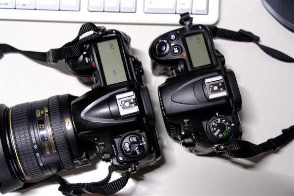 ニコン D7500 18-140 VR レンズキット投稿画像・動画 - 価格.com