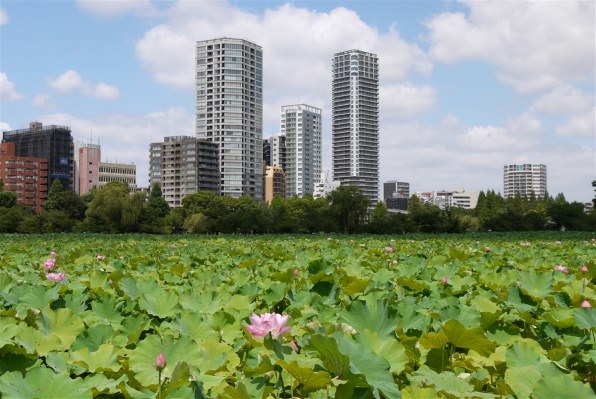 LUMIX DMC-GF3 【作例あり】 パナソニック LUMIX DMC-GF3 ボディで撮影された写真 - 価格.com