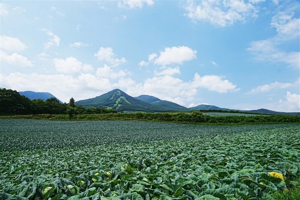 SONY Vario-Sonnar T＊ DT 16-80mm F3.5-4.5 ZA SAL1680Zで撮影された