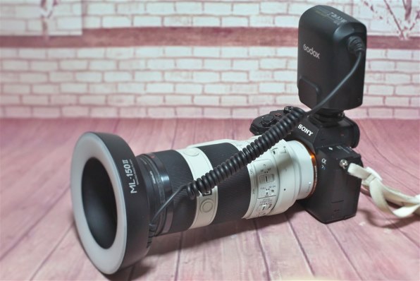 SONYα6000 ILCE-6000Y/Wダブルズームキット 3673ショット SONY α6000 ILCE-6000Y ダブルズームレンズキットで撮影された写真