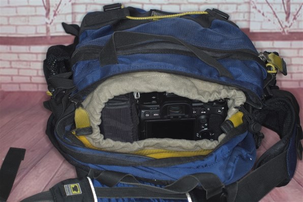 SONY α6000 ILCE-6000Y ダブルズームレンズキットで撮影された写真